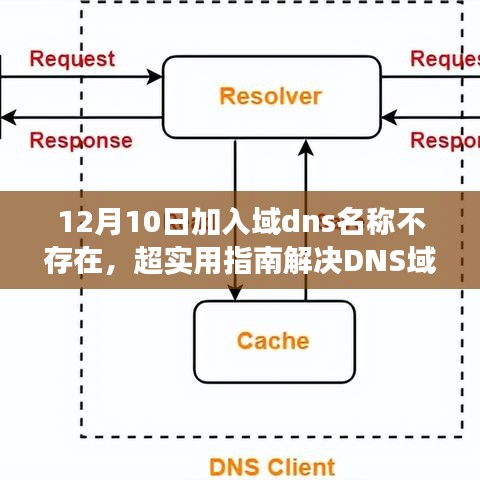 解决DNS域名解析失败的实用指南，针对12月10日域dns名称不存在问题的全攻略