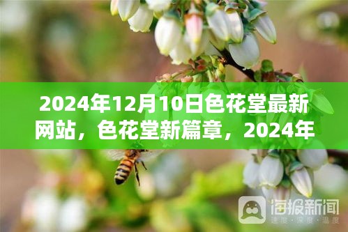 色花堂新篇章，2024年12月10日的崭新起点与深远影响