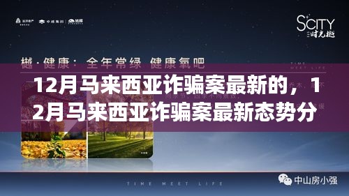 12月马来西亚诈骗案最新态势解析，多元观点透视现象背后