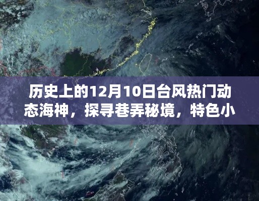 揭秘台风海神背后的故事，巷弄秘境与特色小店的神秘缘分揭晓