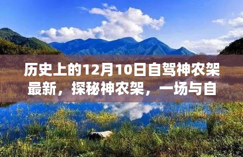 探秘神农架，自然共舞的自驾之旅——最新神农架自驾攻略纪实