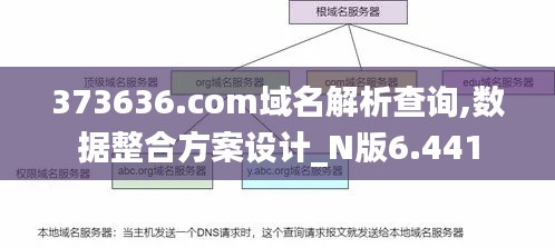 373636.com域名解析查询,数据整合方案设计_N版6.441