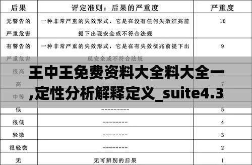 王中王免费资料大全料大全一,定性分析解释定义_suite4.351