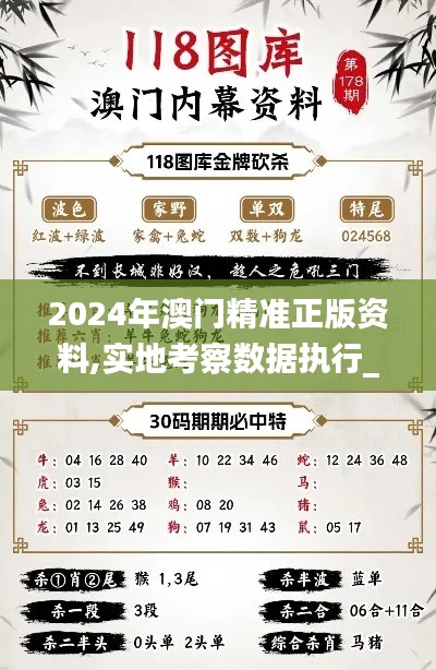 2024年澳门精准正版资料,实地考察数据执行_HD10.365