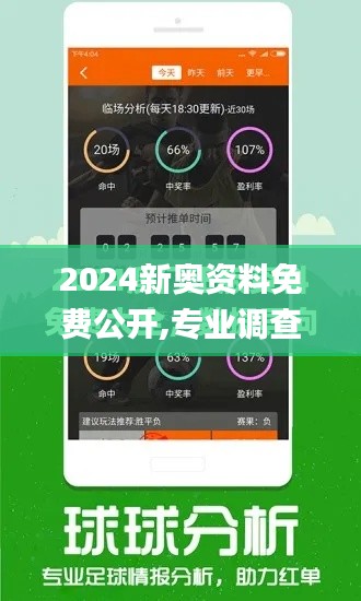 2024新奥资料免费公开,专业调查解析说明_游戏版4.807