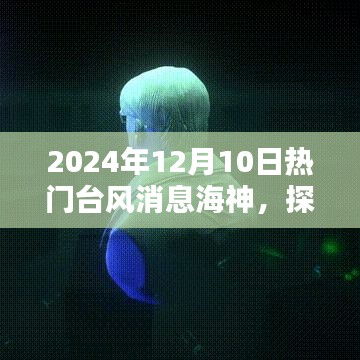 台风海神下的风味秘境探寻，小巷深处的隐藏瑰宝