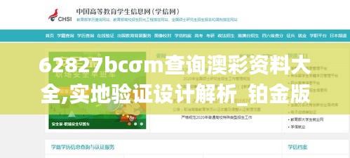 62827bcσm查询澳彩资料大全,实地验证设计解析_铂金版2.545