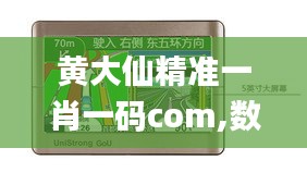 黄大仙精准一肖一码com,数据解析说明_VIP2.788