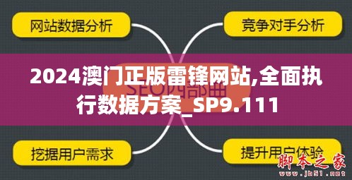 2024澳门正版雷锋网站,全面执行数据方案_SP9.111