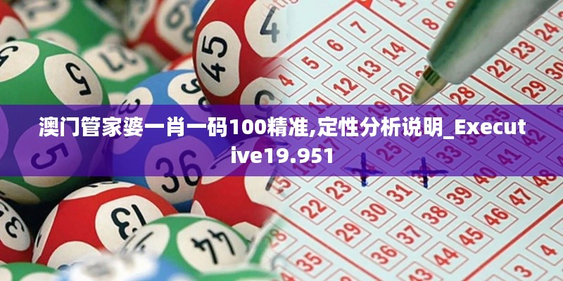 澳门管家婆一肖一码100精准,定性分析说明_Executive19.951