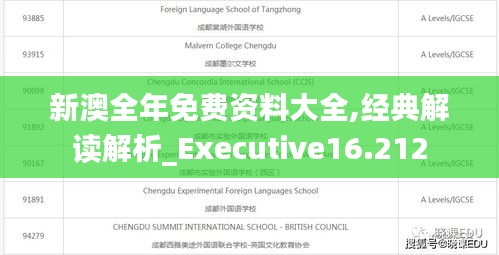 新澳全年免费资料大全,经典解读解析_Executive16.212