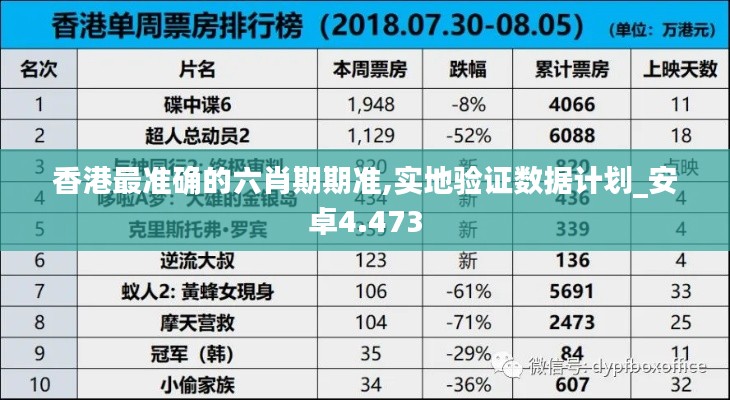 香港最准确的六肖期期准,实地验证数据计划_安卓4.473