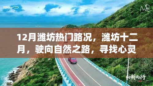 潍坊十二月路况指南，驶向自然之路，探寻心灵港湾