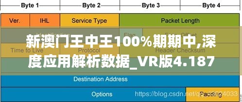 新澳门王中王100%期期中,深度应用解析数据_VR版4.187