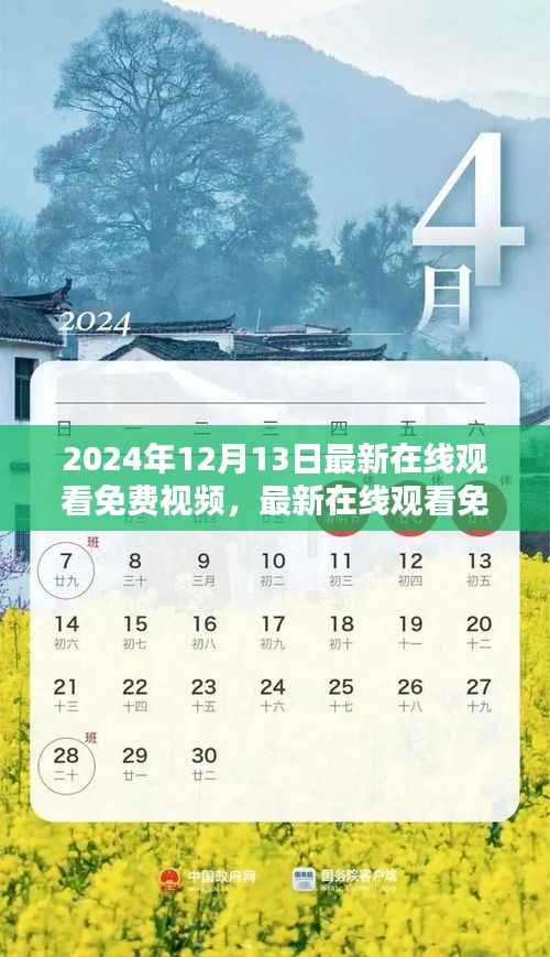 2024年12月13日热门免费在线视频观看指南与资源解析