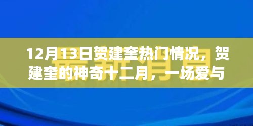 贺建奎的神奇十二月，爱与陪伴的温馨故事，十二月最新热门情况揭秘