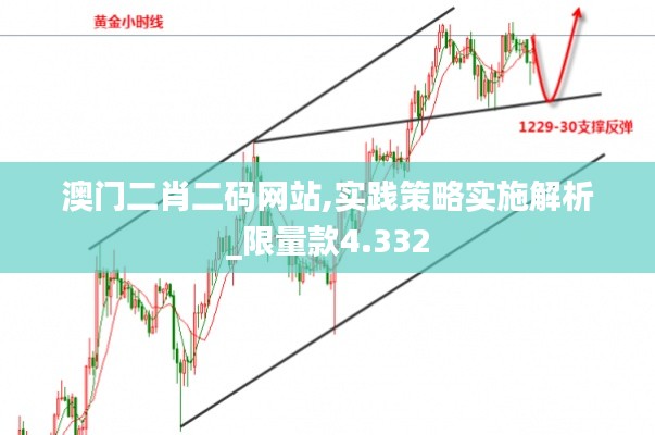 澳门二肖二码网站,实践策略实施解析_限量款4.332