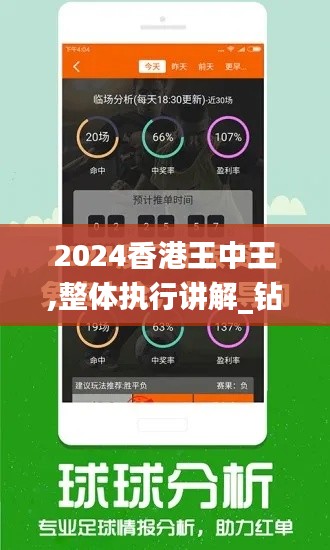 2024香港王中王,整体执行讲解_钻石版3.751