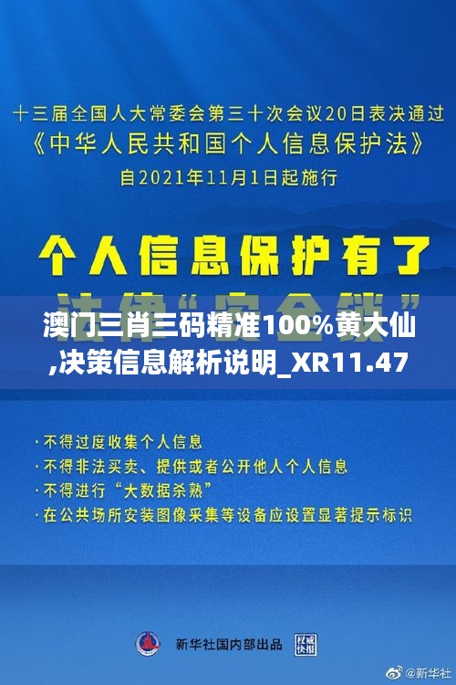 澳门三肖三码精准100%黄大仙,决策信息解析说明_XR11.479