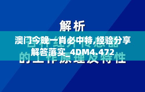 澳门今晚一肖必中特,经验分享解答落实_4DM4.472