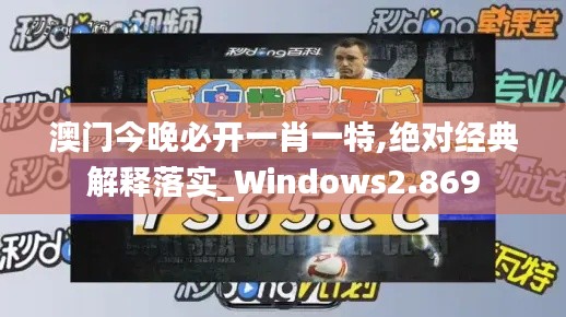 澳门今晚必开一肖一特,绝对经典解释落实_Windows2.869