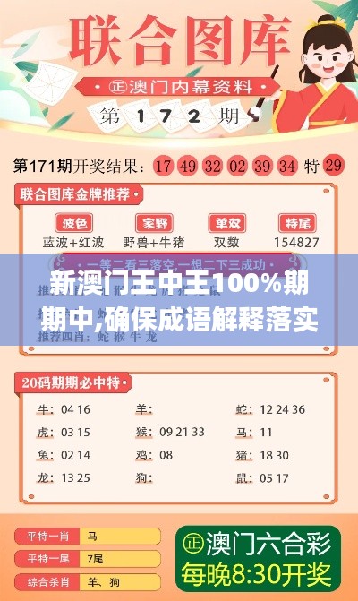 新澳门王中王100%期期中,确保成语解释落实_工具版5.628