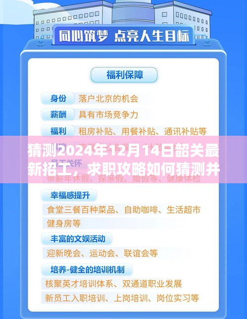 揭秘2024年韶关最新招工信息，求职攻略与获取招工信息的初学者与进阶指南