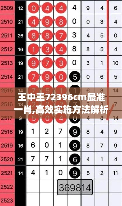 王中王72396cm最准一肖,高效实施方法解析_kit8.592