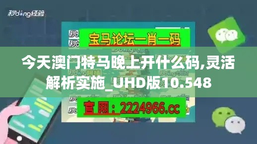 今天澳门特马晚上开什么码,灵活解析实施_UHD版10.548