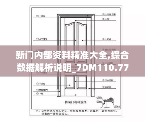 新门内部资料精准大全,综合数据解析说明_7DM110.775