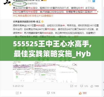 555525王中王心水高手,最佳实践策略实施_Hybrid10.912