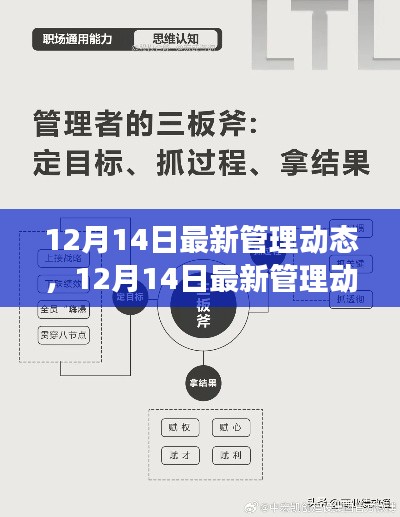 掌握高效任务执行与技能学习全攻略，最新管理动态解析