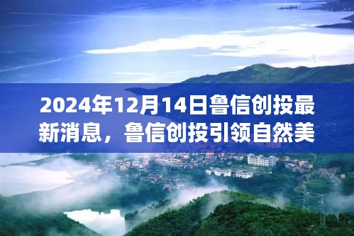 鲁信创投引领自然美景探索之旅，开启2024年平静之旅新篇章