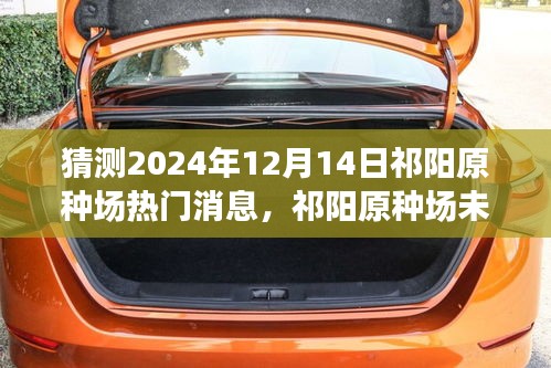 祁阳原种场未来展望，热门消息预测分析（2024年12月14日版）