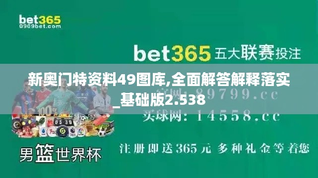 新奥门特资料49图库,全面解答解释落实_基础版2.538