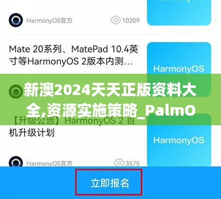 新澳2024天天正版资料大全,资源实施策略_PalmOS1.103