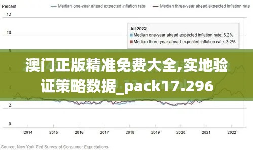 澳门正版精准免费大全,实地验证策略数据_pack17.296