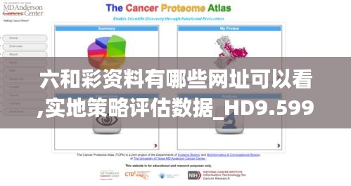 六和彩资料有哪些网址可以看,实地策略评估数据_HD9.599