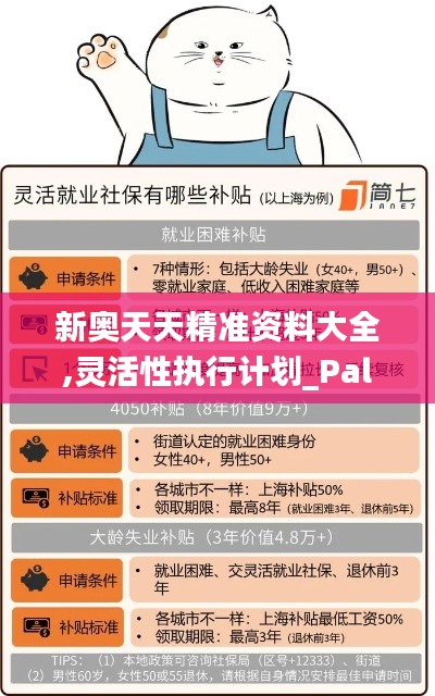 新奥天天精准资料大全,灵活性执行计划_PalmOS10.962