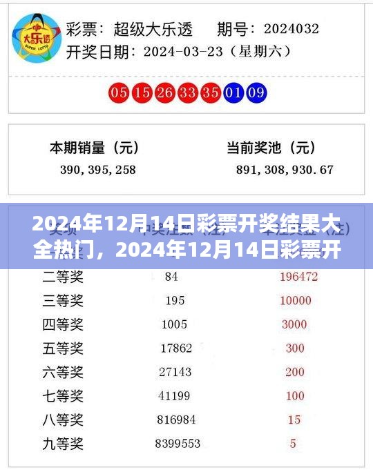 2024年12月14日彩票开奖结果大全与热门分析