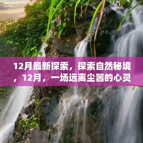 12月心灵之旅，探索自然秘境，寻找内心的平和与喜悦