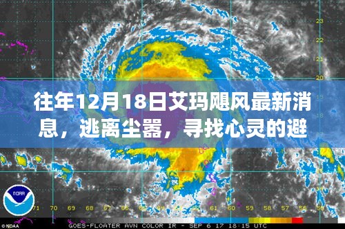 往年12月18日艾玛飓风后的自然之旅，逃离尘嚣，寻找心灵避风港