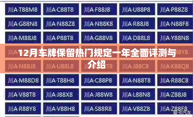 全面解读，12月车牌保留新规一年实施效果与热门规定介绍