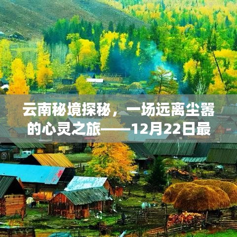 云南秘境探秘，心灵之旅的最新篇章（12月22日最新消息）