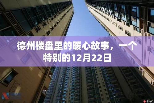 德州楼盘暖心故事，特别之日的温情瞬间（12月22日）