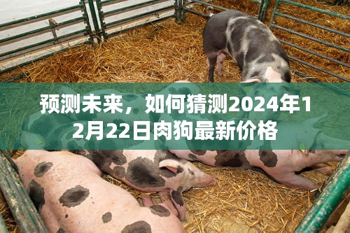 2024年12月22日肉狗最新价格预测