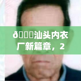 汕头内衣厂新篇章启幕，2024年厂长招聘启事发布🎉