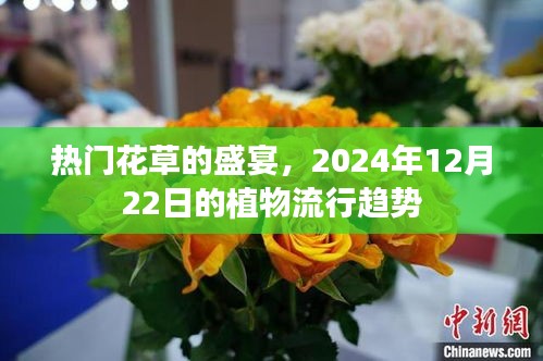 热门花草盛宴，揭秘植物流行趋势，展望2024年植物时尚风采