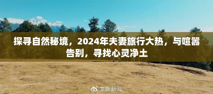 探寻自然秘境，夫妻旅行大热，寻找心灵的净土（2024年）