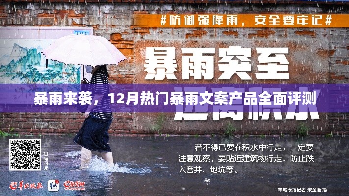 暴雨来袭，热门文案产品全面评测与解析